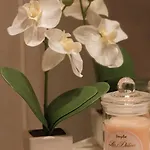 Apartamento Romance
